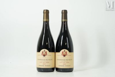 deux bouteilles de vin posées sur une table blanche