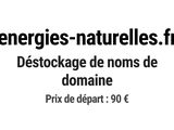 Photo 1/1 du lot