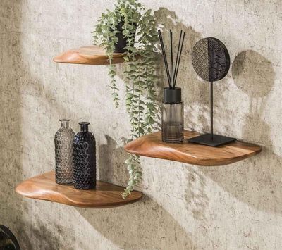 deux étagères en bois sur lesquelles sont disposées des plantes et des vases