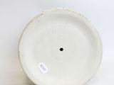 an image of a close up of a white plate on a white surface