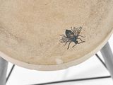 a close up of a table with a small insect on it