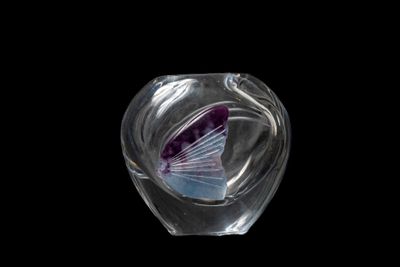 un vase en verre contenant un poisson violet et blanc