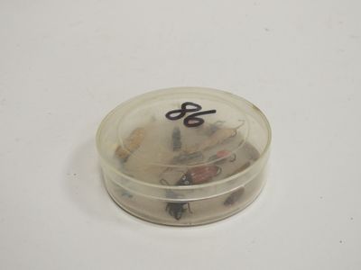 une image représentant un petit récipient en plastique rempli de petits objets