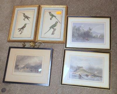trois photos encadrées d'oiseaux accrochées au mur du salon