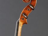 a close up of the back of a violin