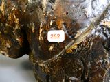 un gros plan sur une statue d'éléphant à laquelle est accrochée une étiquette