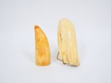deux morceaux de banane posés l'un à côté de l'autre sur une surface blanche