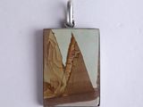 a picture of a pendant with a picture of a desert scene