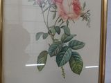 a picture of a picture of a pink rose in a gold frame