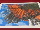 a picture of a picture of a butterfly on a red table