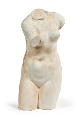 une image représentant le torse d'une femme sur fond blanc