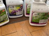 several gallons of liquid are sitting on a wooden floor