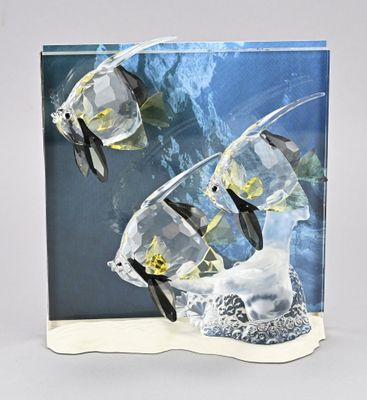 two fish that are swimming in the water together