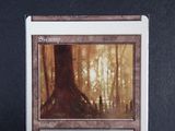 the back of a card with a picture of a tree in the background