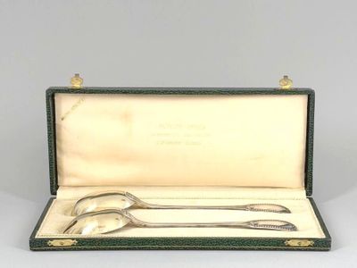 an image of a pair of spoons and fork in a case