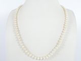 a white pearl necklace on a mannequin mannequin mannequin mannequin mannequin mannequin mannequin mannequin manne