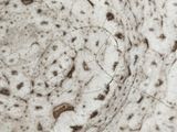 a close up of a piece of paper with a circle on it