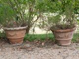 two large pots with plants in them sitting on the ground