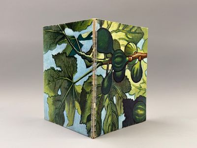 a picture of a book with a picture of a figurine on it