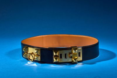 black leather dog collar with gold studs on a blue background