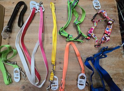 beaucoup de laisses pour chiens posées sur une table en bois