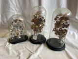 trois cloches en verre contenant différents types de roches