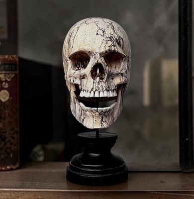 Vanité, tête de mort Bois exotique