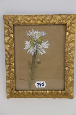 painting of a white flower in a gold frame on a white wall