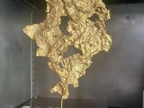 a gold leaf sculpture on display in a glass case