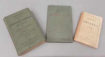 MYCOLOGIE : REMY jules. Champignons et truffes.