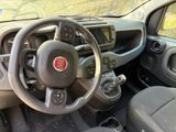 a steering wheel and dashboard of a small car