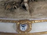 an image of a dog ' s head on a table