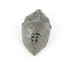 a small silver object with a black cross on it