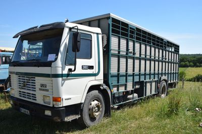 a truck that is parked in the grass
