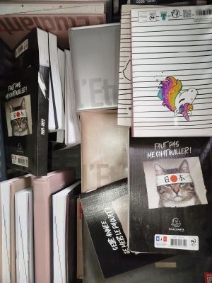 Lot de 25 - L'ETUDIANT EXACOMPTA - Agendas et carnets scolai…