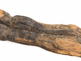 an image of a piece of wood that has been cut in half