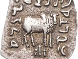 a close up of a silver coin with a horse on it