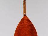 a close up of a mandolin hanging from a string