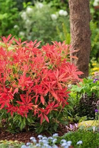 Destockage & Invendus