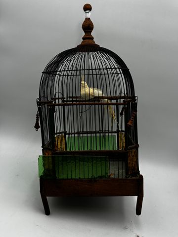 Cage à oiseaux. Pied cassé