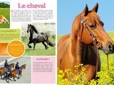 a horse that is standing in a field of yellow flowers