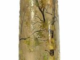 a gold vase with a tree on it on a white background