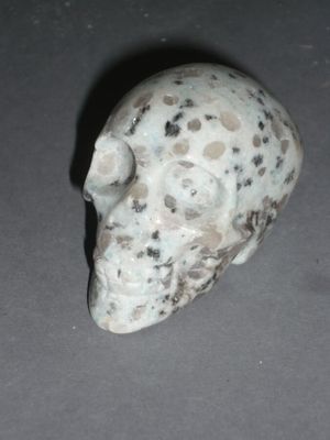 a white and black skull on a gray surface