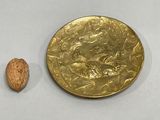 a gold coin and a walnut on a white surface