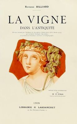 the cover of the book la vignee dans l ' antiquite