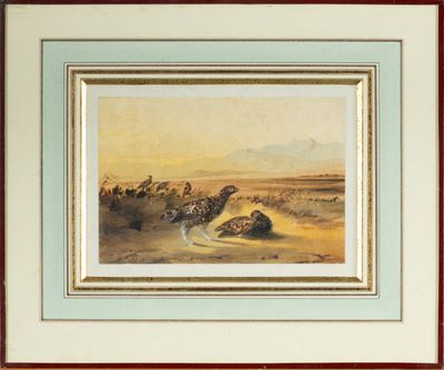 une image d'une photo d'un tableau représentant un paysage désertique