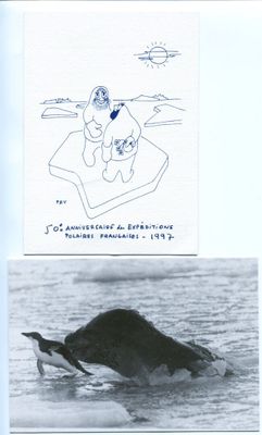 two pictures of a whale that are in the water