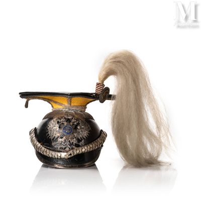 a hair dryer with a long white hair on it
