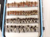 many different types of flies in this case