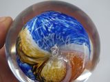 a glass ball with a picture of a fish inside of it